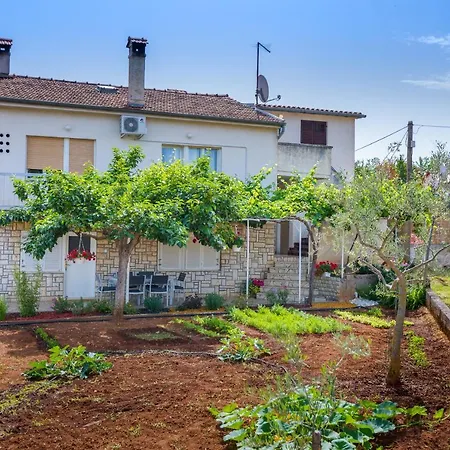 Tesic Close To The Sea With Shared 4xbicycles *
