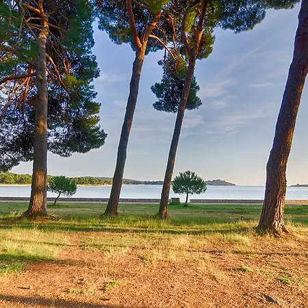 Tesic Close To The Sea With Shared 4xbicycles Apartmán *